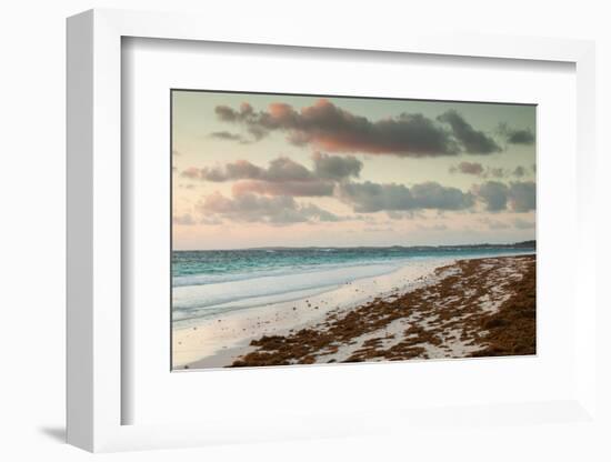 Elevated view of Pink Sands Beach, Dunmore Town, Harbour Island, Eleuthera Island, Bahamas-null-Framed Photographic Print