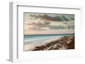 Elevated view of Pink Sands Beach, Dunmore Town, Harbour Island, Eleuthera Island, Bahamas-null-Framed Photographic Print