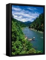 Elevated view of river passing through a forest, Rogue River, Two Mile Rapids, Wild Rogue Wilder...-null-Framed Stretched Canvas
