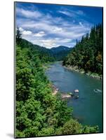 Elevated view of river passing through a forest, Rogue River, Two Mile Rapids, Wild Rogue Wilder...-null-Mounted Photographic Print