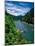 Elevated view of river passing through a forest, Rogue River, Two Mile Rapids, Wild Rogue Wilder...-null-Mounted Photographic Print