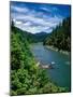 Elevated view of river passing through a forest, Rogue River, Two Mile Rapids, Wild Rogue Wilder...-null-Mounted Photographic Print