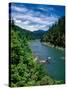 Elevated view of river passing through a forest, Rogue River, Two Mile Rapids, Wild Rogue Wilder...-null-Stretched Canvas