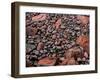 Elevated view of stones on the coast, Park Loop Road, Acadia National Park, Maine, USA-null-Framed Photographic Print