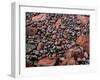 Elevated view of stones on the coast, Park Loop Road, Acadia National Park, Maine, USA-null-Framed Photographic Print