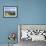 Elevated view of the beach in Bonete, Ilhabela Island, State of Sao Paulo, Brazil, South America-Karol Kozlowski-Framed Photographic Print displayed on a wall