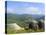 Elevated view of the beach in Bonete, Ilhabela Island, State of Sao Paulo, Brazil, South America-Karol Kozlowski-Stretched Canvas