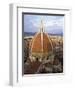 Elevated View of the Duomo, Florence, Unesco World Heritage Site, Tuscany, Italy-James Emmerson-Framed Photographic Print