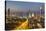 Elevated View of the Modern City Skyline and Central Business District-Gavin-Stretched Canvas