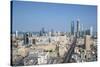 Elevated View of the Modern City Skyline and Central Business District-Gavin-Stretched Canvas