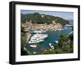 Elevated view of the Portofino, Liguria, Italy-null-Framed Photographic Print