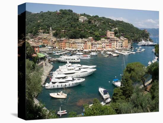 Elevated view of the Portofino, Liguria, Italy-null-Stretched Canvas