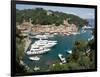 Elevated view of the Portofino, Liguria, Italy-null-Framed Photographic Print