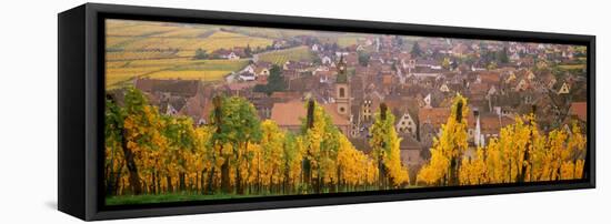 Elevated View of the Riquewihr and Vineyards in Autumn, Alsace, France-null-Framed Stretched Canvas