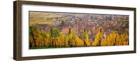 Elevated View of the Riquewihr and Vineyards in Autumn, Alsace, France-null-Framed Photographic Print