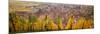 Elevated View of the Riquewihr and Vineyards in Autumn, Alsace, France-null-Mounted Photographic Print