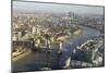 Elevated View of the River Thames Looking East Towards Canary Wharf with Tower Bridge-Amanda Hall-Mounted Photographic Print