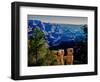 Elevated view of the rock formations in a canyon, Grandview Point, East Rim Drive, South Rim, Gr...-null-Framed Photographic Print