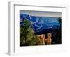 Elevated view of the rock formations in a canyon, Grandview Point, East Rim Drive, South Rim, Gr...-null-Framed Photographic Print