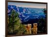 Elevated view of the rock formations in a canyon, Grandview Point, East Rim Drive, South Rim, Gr...-null-Framed Photographic Print