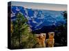 Elevated view of the rock formations in a canyon, Grandview Point, East Rim Drive, South Rim, Gr...-null-Stretched Canvas