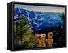 Elevated view of the rock formations in a canyon, Grandview Point, East Rim Drive, South Rim, Gr...-null-Framed Stretched Canvas