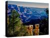 Elevated view of the rock formations in a canyon, Grandview Point, East Rim Drive, South Rim, Gr...-null-Stretched Canvas