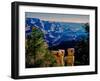 Elevated view of the rock formations in a canyon, Grandview Point, East Rim Drive, South Rim, Gr...-null-Framed Photographic Print