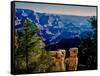 Elevated view of the rock formations in a canyon, Grandview Point, East Rim Drive, South Rim, Gr...-null-Framed Stretched Canvas