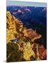 Elevated view of the rock formations in a canyon, Mather Point, South Rim, Grand Canyon National...-null-Mounted Photographic Print