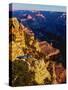 Elevated view of the rock formations in a canyon, Mather Point, South Rim, Grand Canyon National...-null-Stretched Canvas