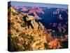 Elevated view of the rock formations in a canyon, Mather Point, South Rim, Grand Canyon National...-null-Stretched Canvas