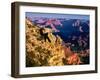 Elevated view of the rock formations in a canyon, Mather Point, South Rim, Grand Canyon National...-null-Framed Premium Photographic Print