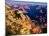 Elevated view of the rock formations in a canyon, Mather Point, South Rim, Grand Canyon National...-null-Mounted Premium Photographic Print