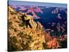 Elevated view of the rock formations in a canyon, Mather Point, South Rim, Grand Canyon National...-null-Stretched Canvas