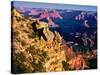 Elevated view of the rock formations in a canyon, Mather Point, South Rim, Grand Canyon National...-null-Stretched Canvas
