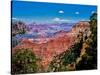 Elevated view of the rock formations in a canyon, Yavapai Point, South Rim, Grand Canyon Nationa...-null-Stretched Canvas