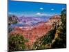 Elevated view of the rock formations in a canyon, Yavapai Point, South Rim, Grand Canyon Nationa...-null-Mounted Photographic Print