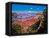 Elevated view of the rock formations in a canyon, Yavapai Point, South Rim, Grand Canyon Nationa...-null-Framed Stretched Canvas