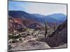 Elevated view of the town and the Hill of Seven Colours (Cerro de los Siete Colores), Purmamarca, J-Karol Kozlowski-Mounted Photographic Print