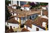 Elevated View of the Town with the Red Roofs and Special Architecture of the Town-Terry Eggers-Stretched Canvas