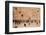 Elevated view of the Western Wall Plaza with people praying at the wailing wall, Jewish Quarter...-null-Framed Photographic Print