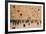 Elevated view of the Western Wall Plaza with people praying at the wailing wall, Jewish Quarter...-null-Framed Photographic Print