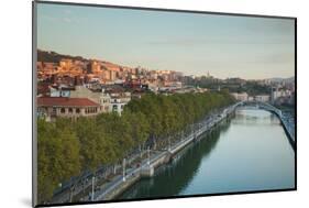 Elevated view of the Zubizuri bridge on Nervion River, Bilbao, Biscay Province, Basque Country R...-null-Mounted Photographic Print