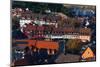 Elevated view of town, Breisach, Black Forest, Baden-Wurttemberg, Germany-null-Mounted Photographic Print