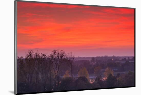 Elevated view of town towards the Rhein River at dusk, Breisach, Black Forest, Baden-Wurttemberg...-null-Mounted Photographic Print