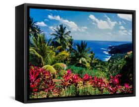Elevated view of trees and plants on the East Coast, Dominica-null-Framed Stretched Canvas