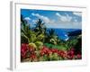 Elevated view of trees and plants on the East Coast, Dominica-null-Framed Photographic Print