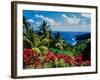 Elevated view of trees and plants on the East Coast, Dominica-null-Framed Photographic Print