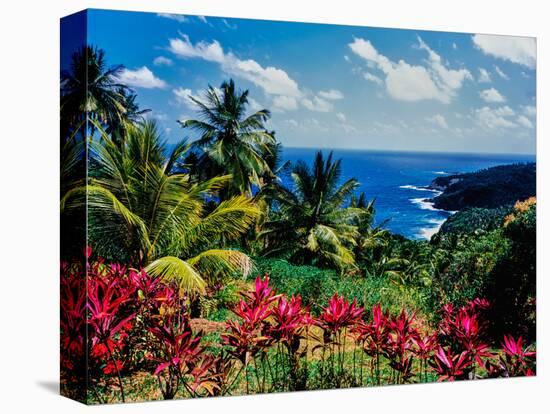 Elevated view of trees and plants on the East Coast, Dominica-null-Stretched Canvas